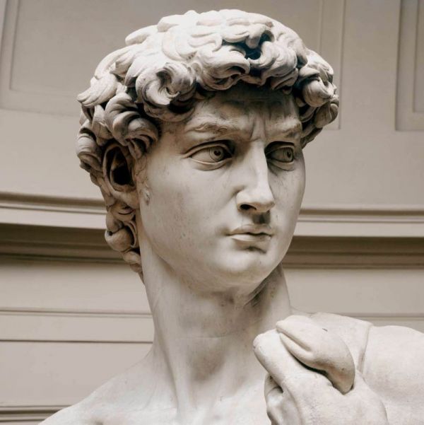 Escultura Davi, de Michelangelo, detalhe: cabeça